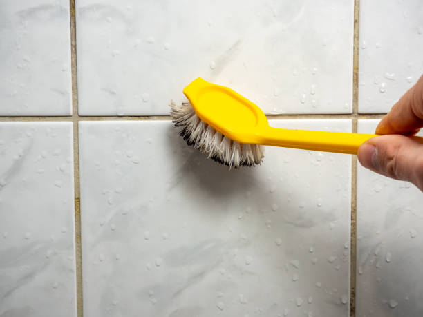 Best Black Mold Removal  in Bullard, TX