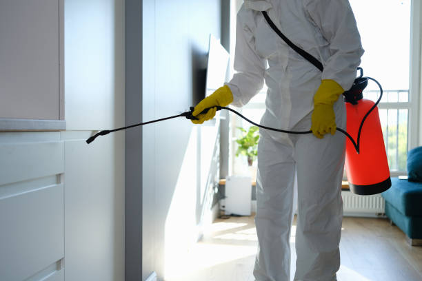 Best Mold Remediation  in Bullard, TX