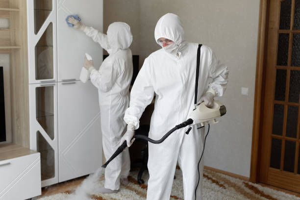 Best Toxic Mold Removal  in Bullard, TX