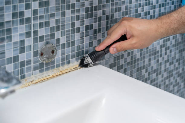Best Professional Mold Removal  in Bullard, TX