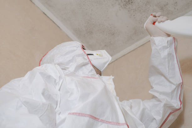 Best Fast Mold Removal  in Bullard, TX